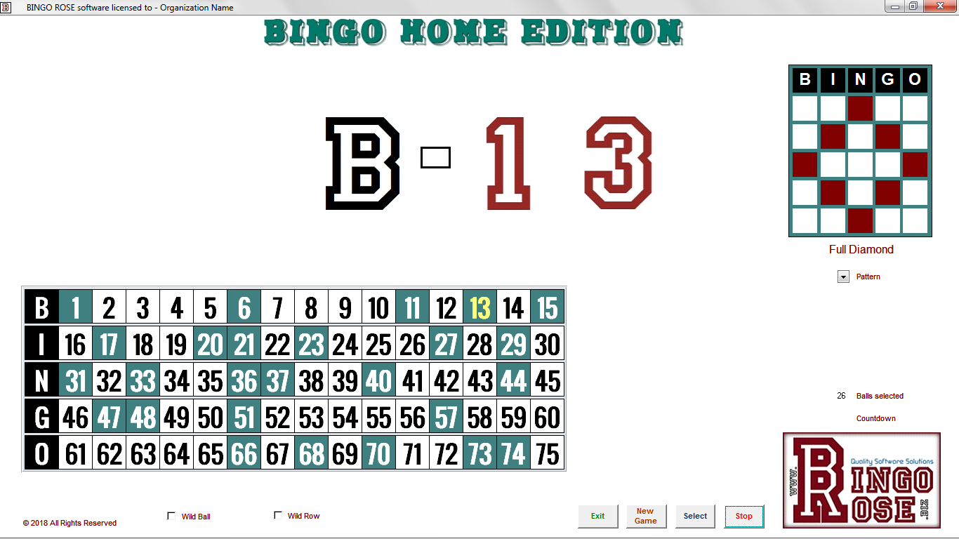Bingo Home Edition main screen - Group mode